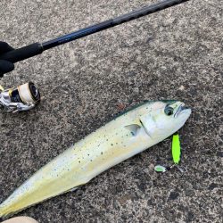 ペンペン狩りでLast surprise