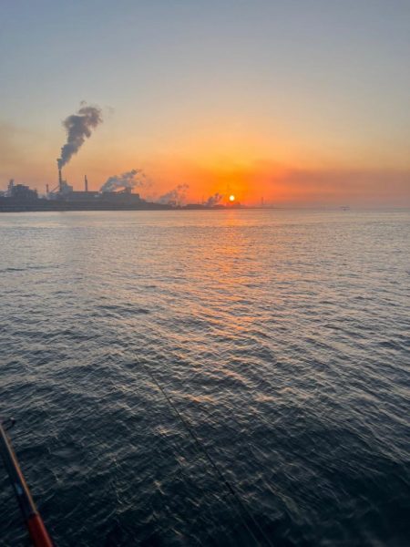 今年初のませ成功!