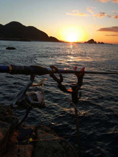 水温低下渋グレ