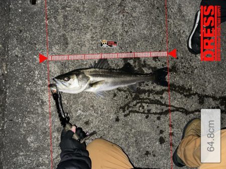 カゲロウでメリクリフイッシュ！