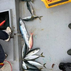 今年最後かな？