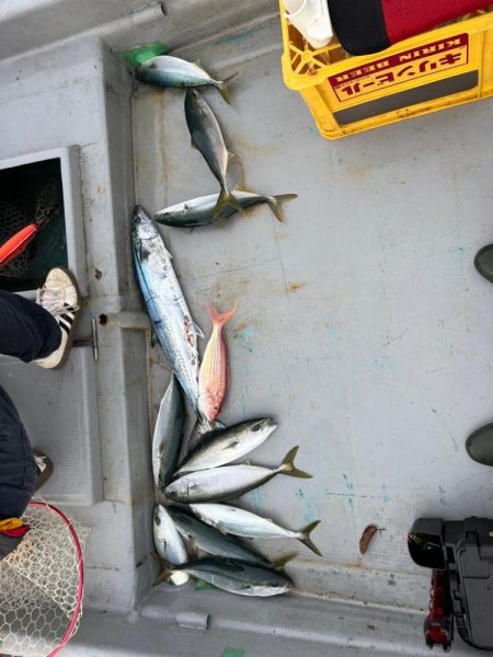 今年最後かな？