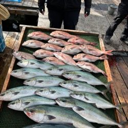 海上釣り堀　海恵