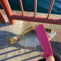 毒、多めな1日。