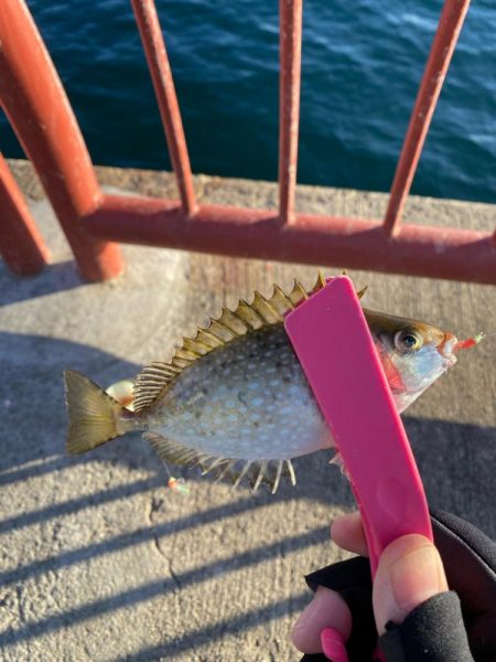 毒、多めな1日。