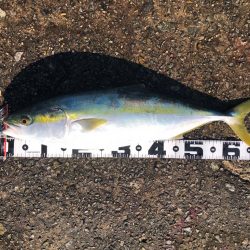 ライトすぎるタックルでも飲ませ成功!