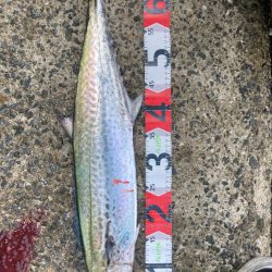 2023ライトゲーム第46戦