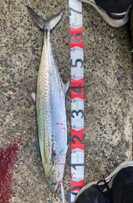 2023ライトゲーム第46戦