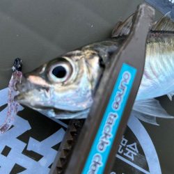 夕方の破壊力を堪能