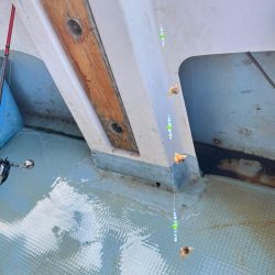 カワハギ/カワハギ仕掛け