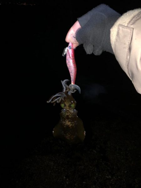 2023年最終釣行！アオリイカ