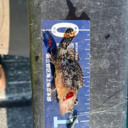 帰省途中の癒し