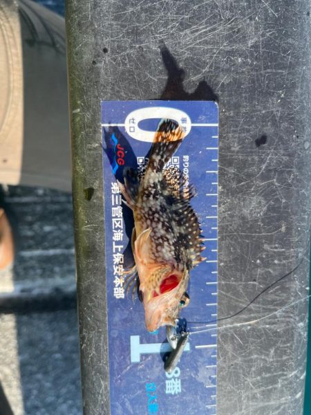 帰省途中の癒し