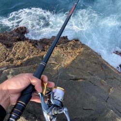 五島列島での釣果