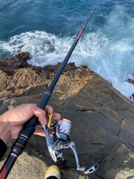 五島列島での釣果