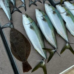 メジロ・ヒラメ・サゴシ/ノマセ・ジギング