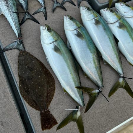 メジロ・ヒラメ・サゴシ/ノマセ・ジギング