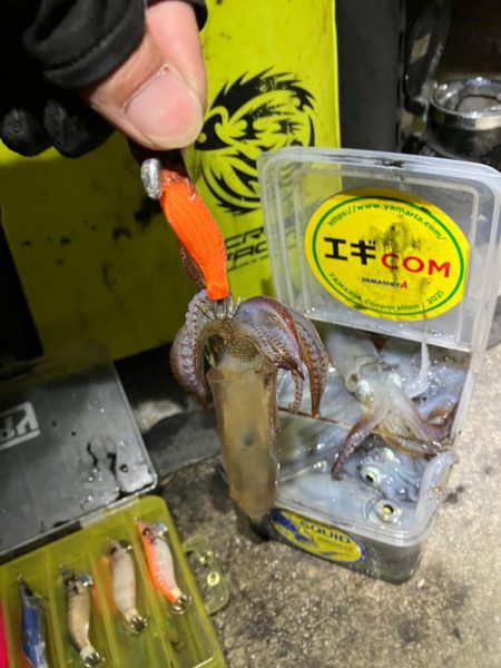 プチ1091ヒイカ釣り(^^)／