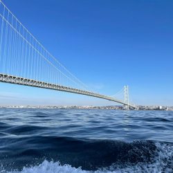 今年の釣り納めは明石で