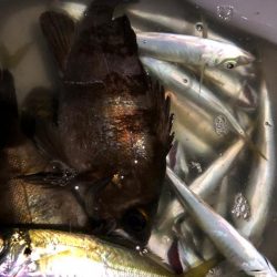 ライトゲーム手巻き寿司弁当