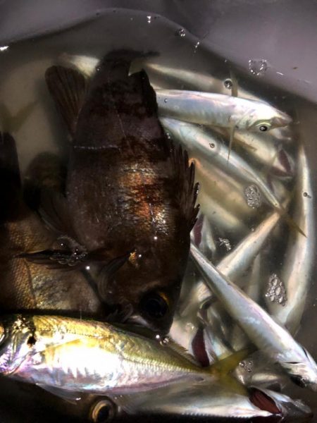 ライトゲーム手巻き寿司弁当