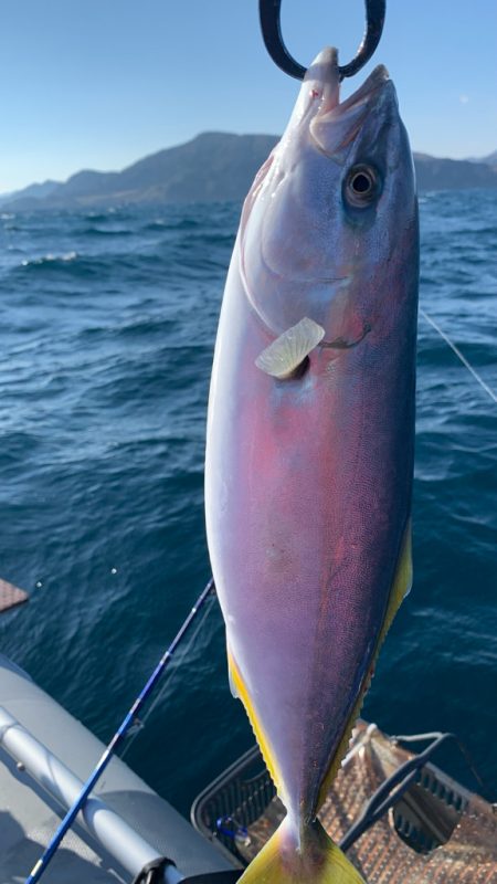 いつものポイントへアマダイ釣行