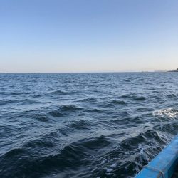 日間賀島付近で船釣り