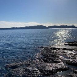 エギング納め。執念の2杯。