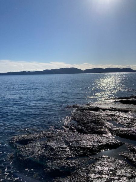 エギング納め。執念の2杯。