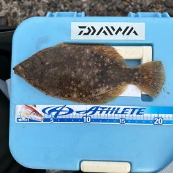 年末、釣り納め、クリスマスカレイ狙い