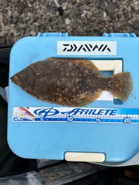 年末、釣り納め、クリスマスカレイ狙い