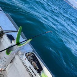 ショート五目カワハギ便