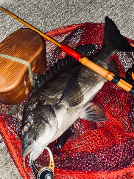 ヘチってきました