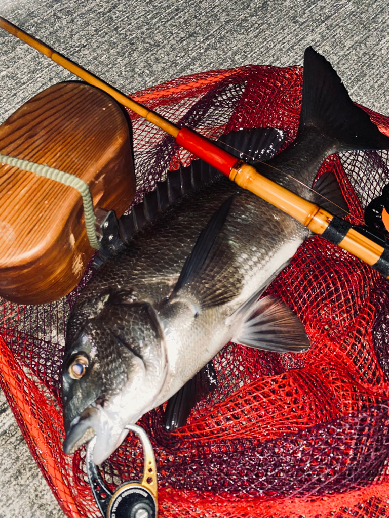 ヘチってきました