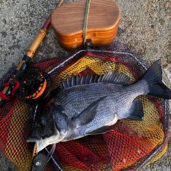 ヘチってきました