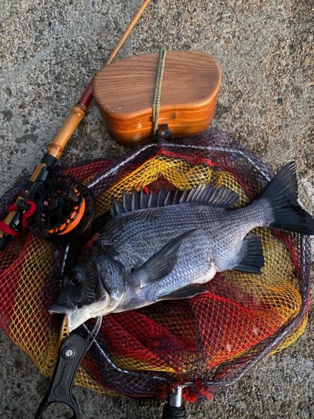 ヘチってきました