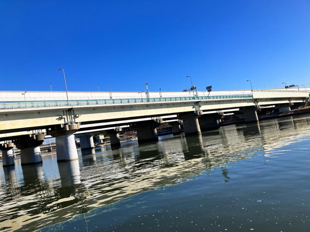 武庫川駅近くでまさかのチヌ！