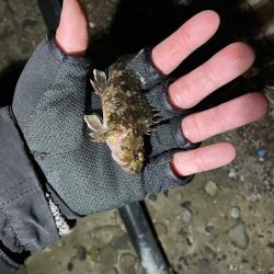 爆風ライトゲーム