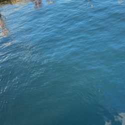 爆風すぎて大変…