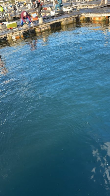 爆風すぎて大変…