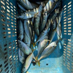 ボートアジング