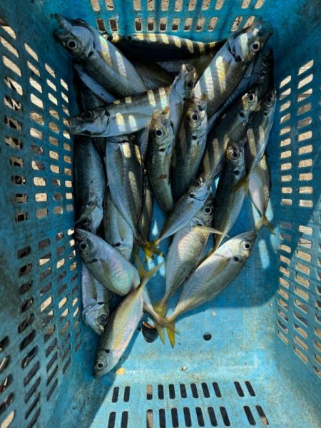 ボートアジング