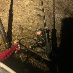 釣り納めアジング