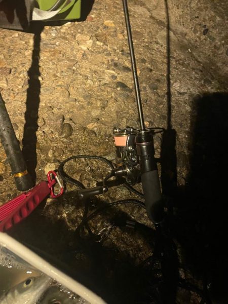 釣り納めアジング