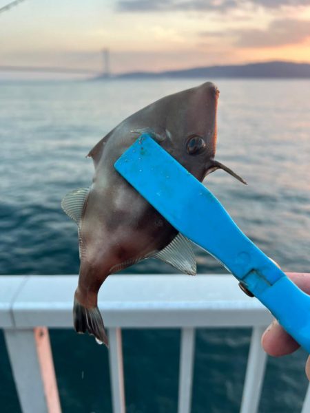 ぽかぽかフィッシング