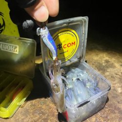 まだまだヒイカ釣れますよ(^.^)