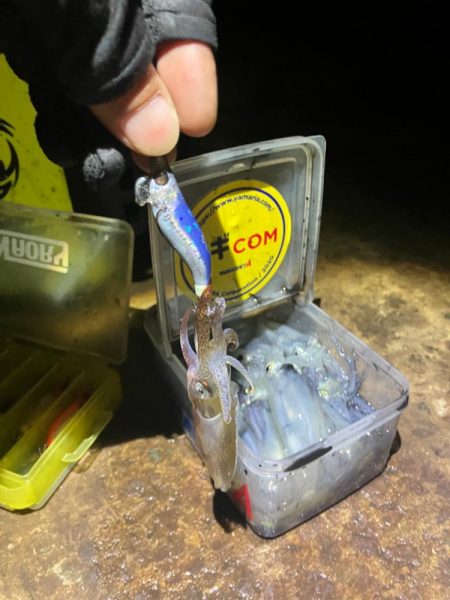 まだまだヒイカ釣れますよ(^.^)