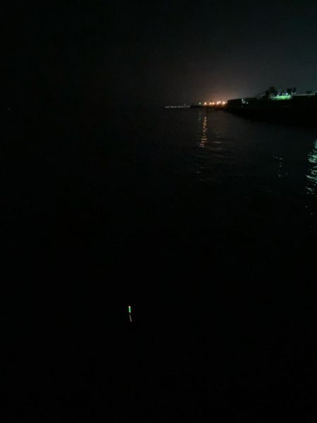 二見メバル釣り