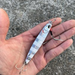 ショアジギング サワラ