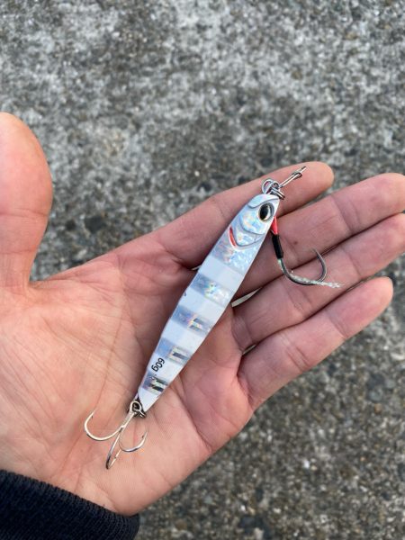 ショアジギング サワラ